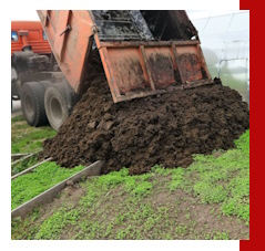 Заказать Навоз